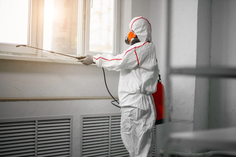 Professional mold remediation services in Belford, NJ
